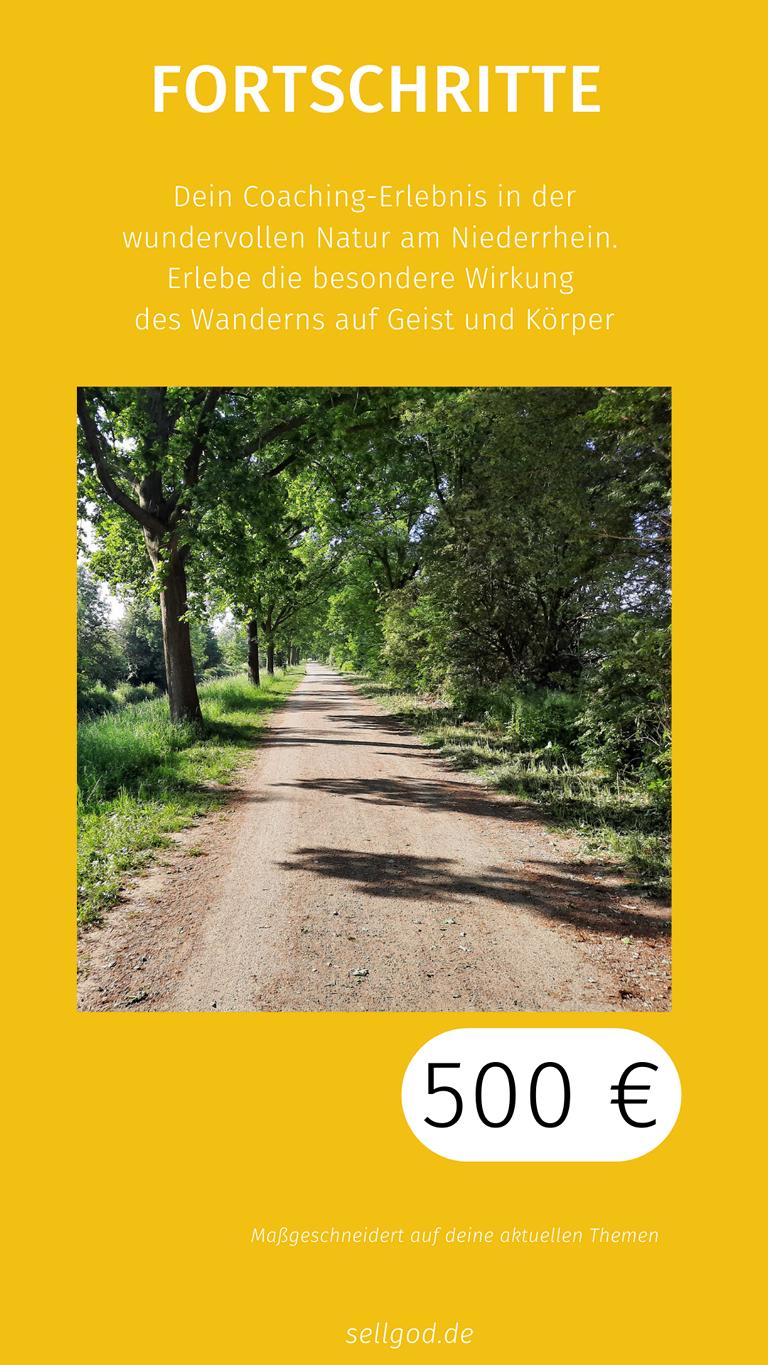 Fortschritte - Effektives Buiness-Wandercoaching